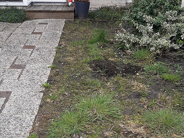 Voortuin - situatie voor